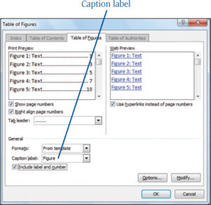 Microsoft Word 2010 : Adding Supplementary Elements - Figure Captions ...