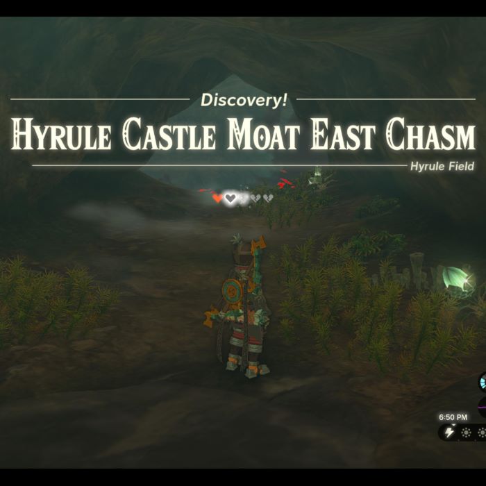 Zelda Tears Of The Kingdom Guide How To Reach Hyrule Castle Moat   Hyrule Castle Moat Chasm 1 